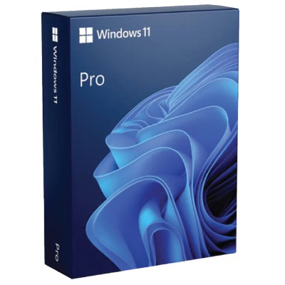 Microsoft Windows 11 Pro 64-Bit DVD – OEM (FQC-10528)